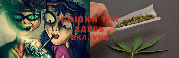 сатива Михайловск