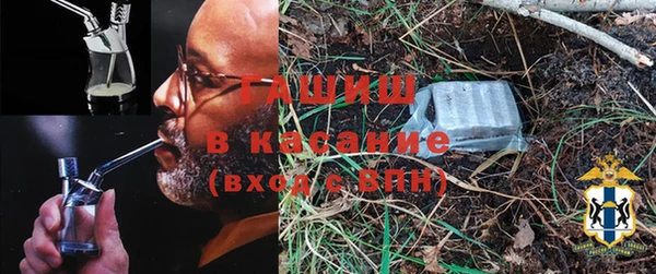 шишки Осинники