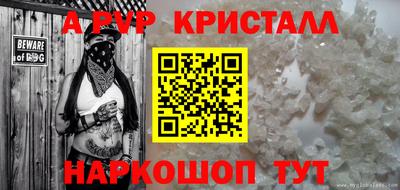 спайс Кингисепп