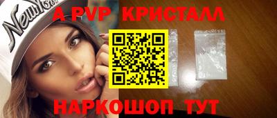 спайс Кингисепп