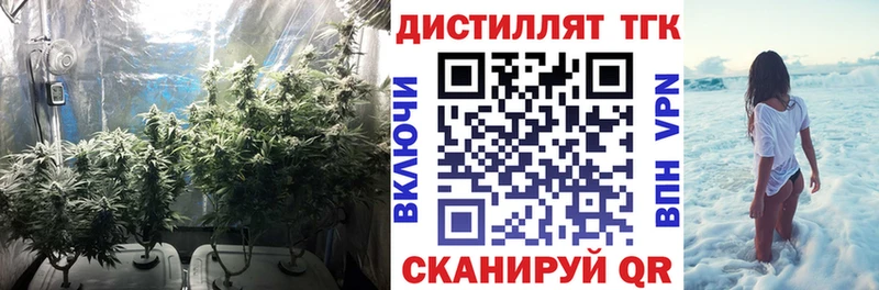ТГК Wax  Павловский Посад 
