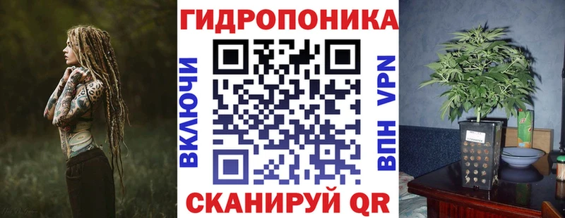 кракен сайт  Павловский Посад  Каннабис сатива 